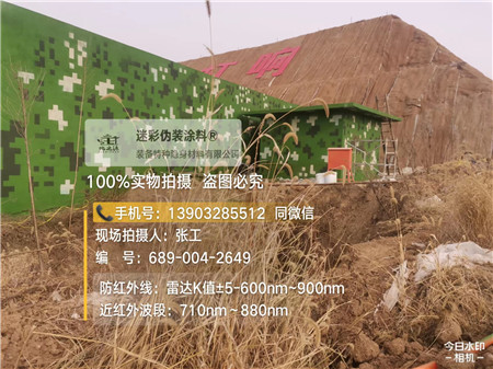天津星空迷彩墙施工队