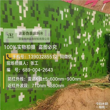 天津星空迷彩漆，夏令营训练,数码迷彩作训墙,围墙