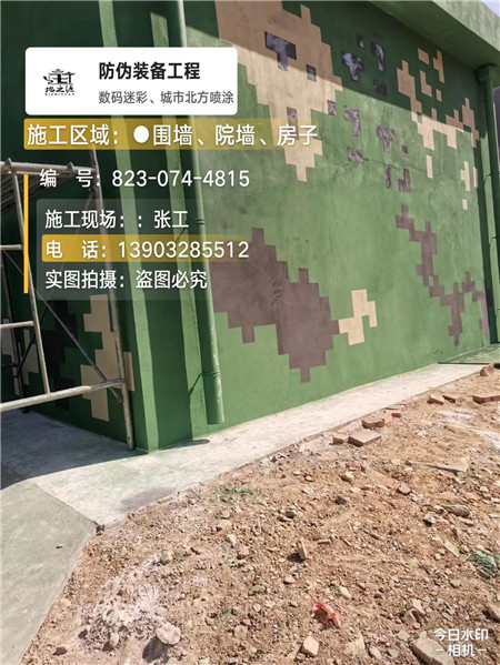 天津核心结论：专业提供外墙迷彩漆施工服务